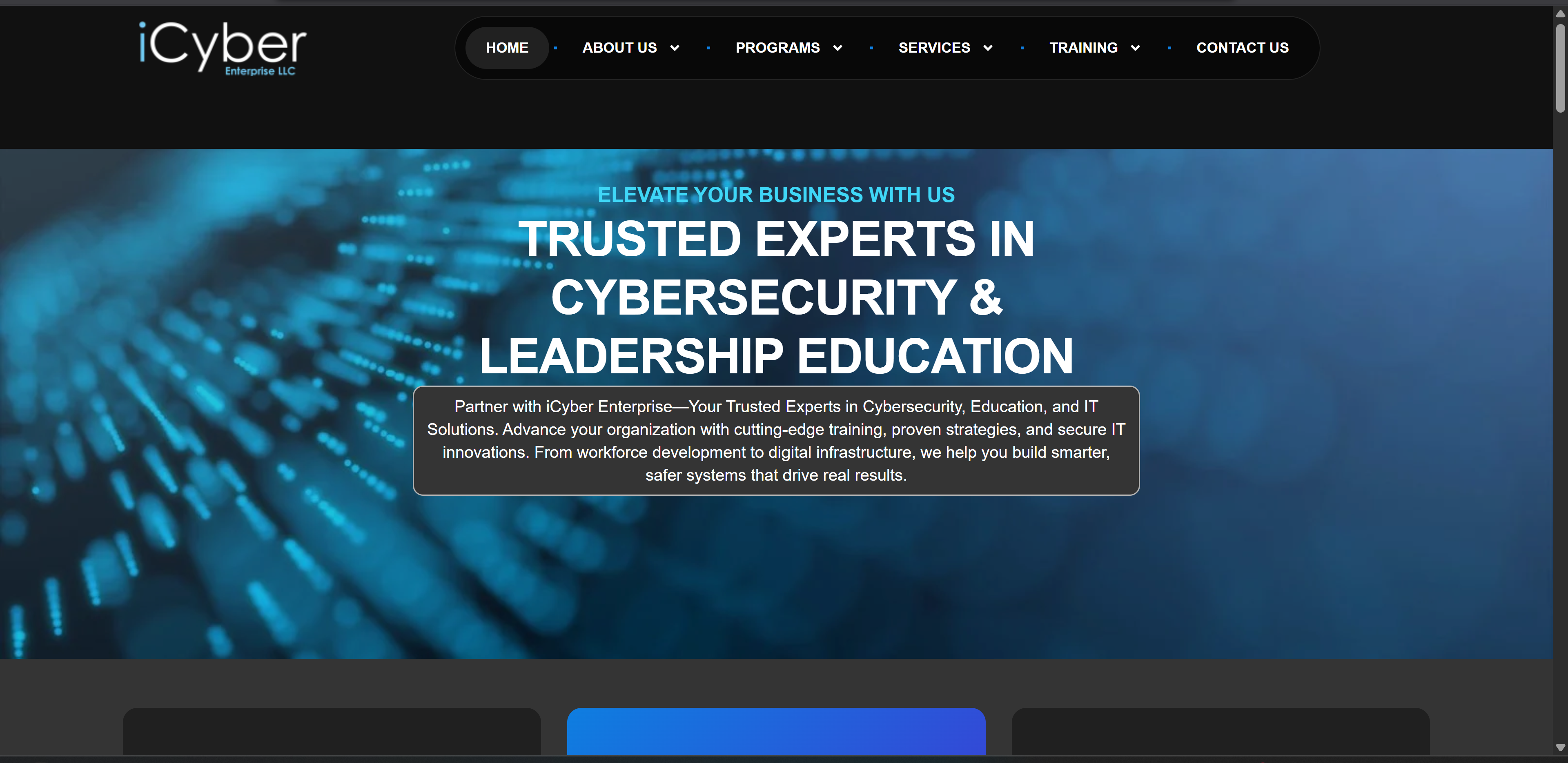 Web Systems & Digital Solutions